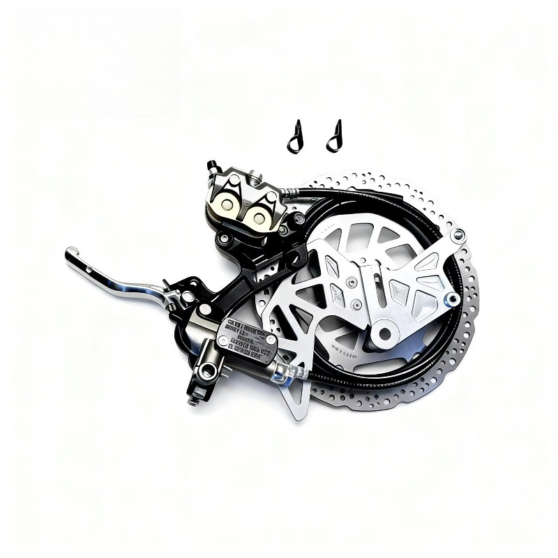 Rear Brake Assemblies + Mounts - огляд і ціна Brake Disc Motorcycle