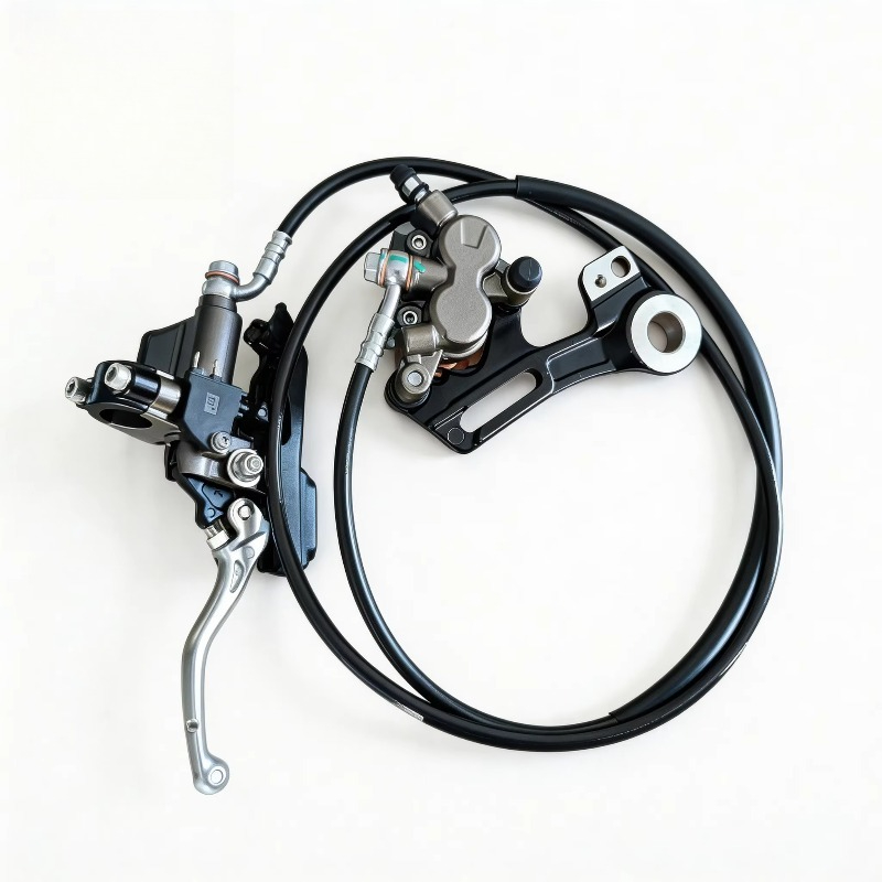 Rear Brake Assemblies + Mounts - огляд і ціна Brake Disc Motorcycle