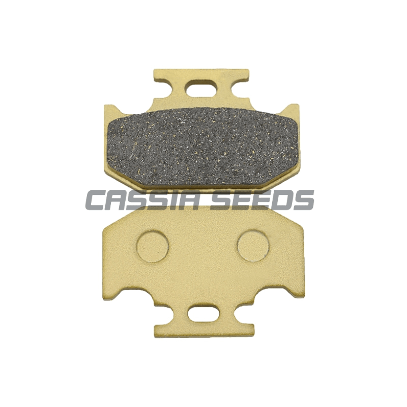 Motorcycle Front and Rear Brak - огляд і ціна Brake Disc Motorcycle