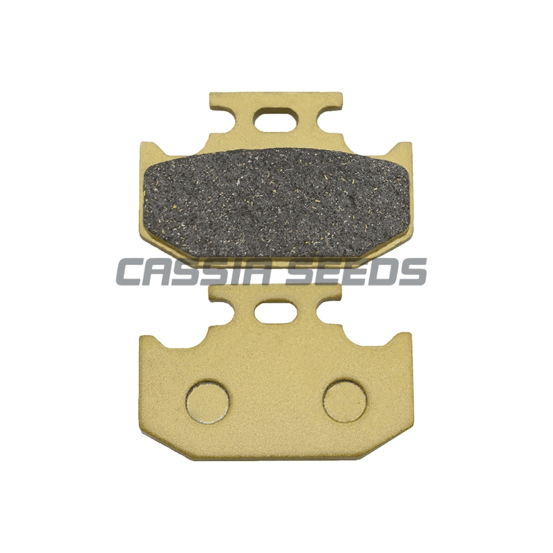 Motorcycle Front and Rear Brak - огляд і ціна Brake Disc Motorcycle